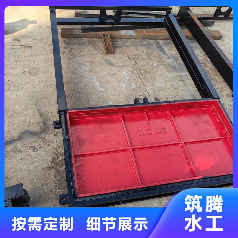 雨污分流閘門產(chǎn)品細節(jié)參數(shù)