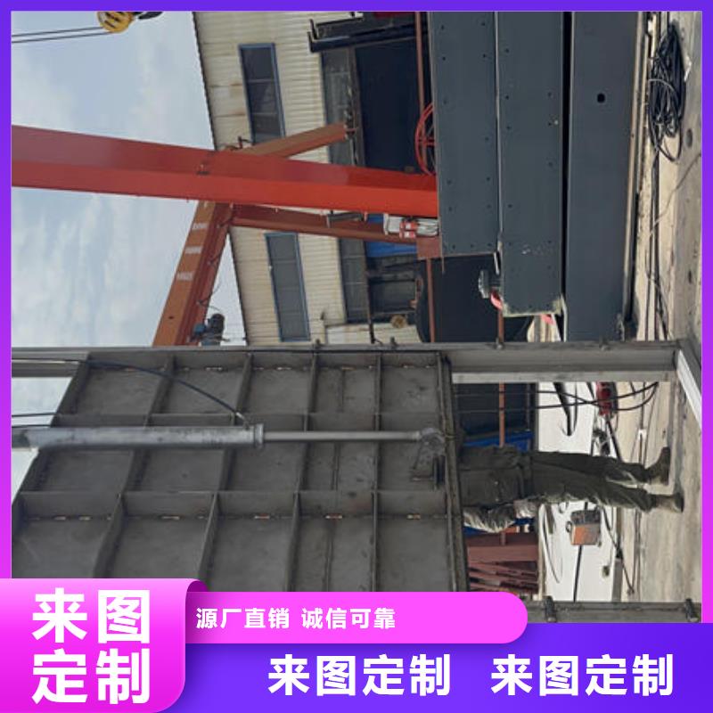 鋼閘門露頂鋼制閘門精品優(yōu)選