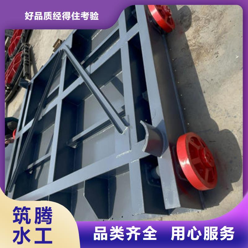 鋼閘門-平面滑動(dòng)鋼閘門我們更專業(yè)