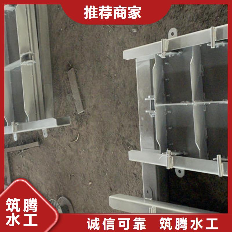 鋼閘門露頂鋼制閘門精品優(yōu)選