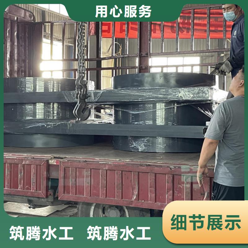 鋼閘門一體化泵閘閘門匠心制造