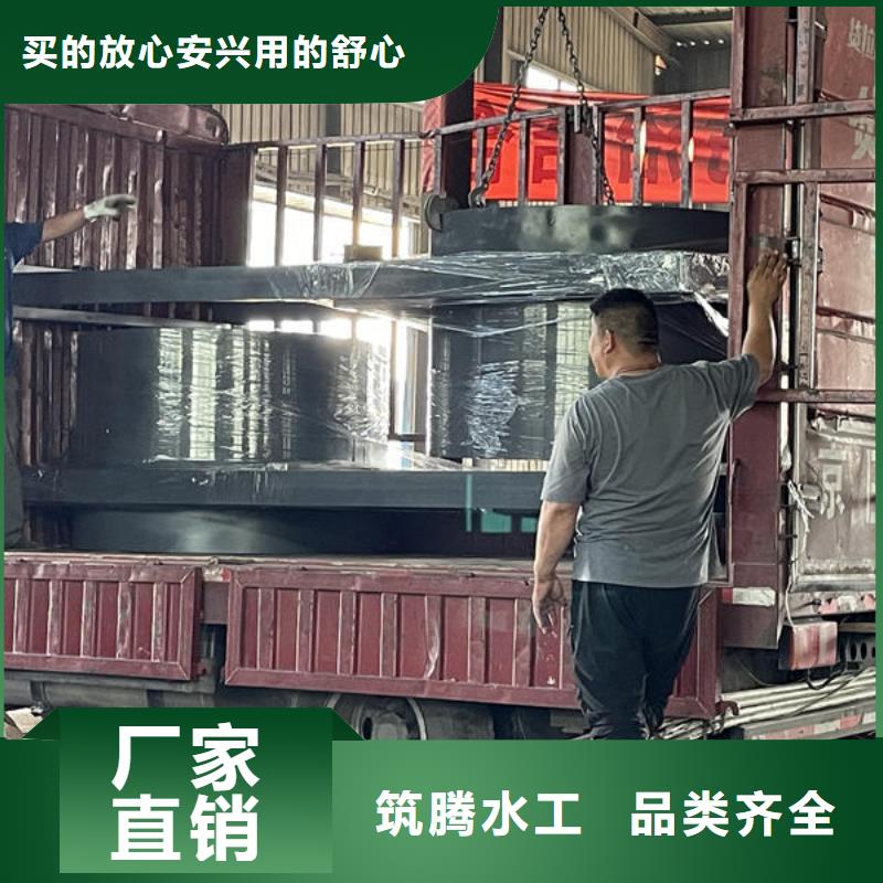 鋼閘門_露頂鋼制閘門多年實力廠家