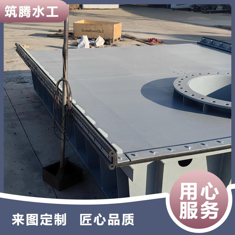 鋼閘門一體化泵閘閘門匠心制造