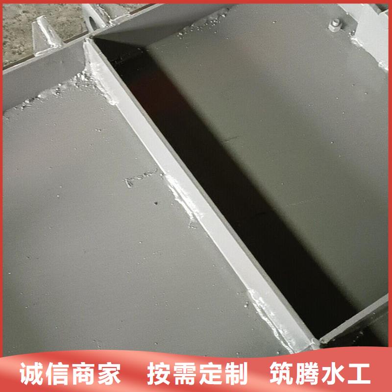 鋼閘門_露頂鋼制閘門多年實力廠家