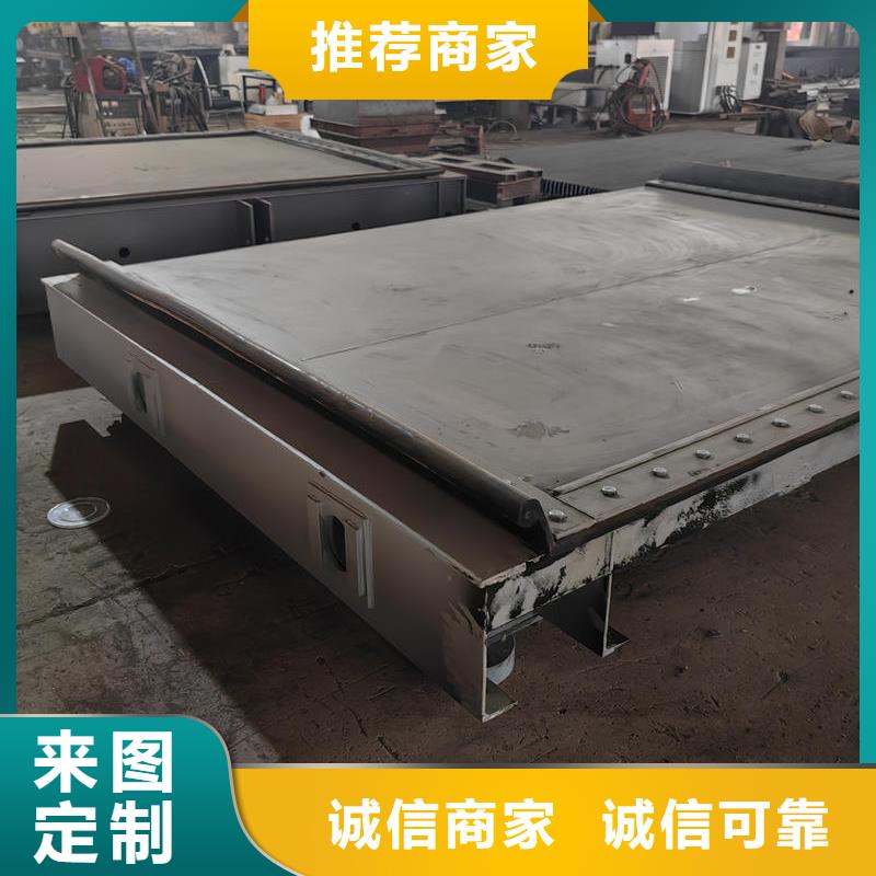 鋼閘門露頂鋼制閘門精品優(yōu)選