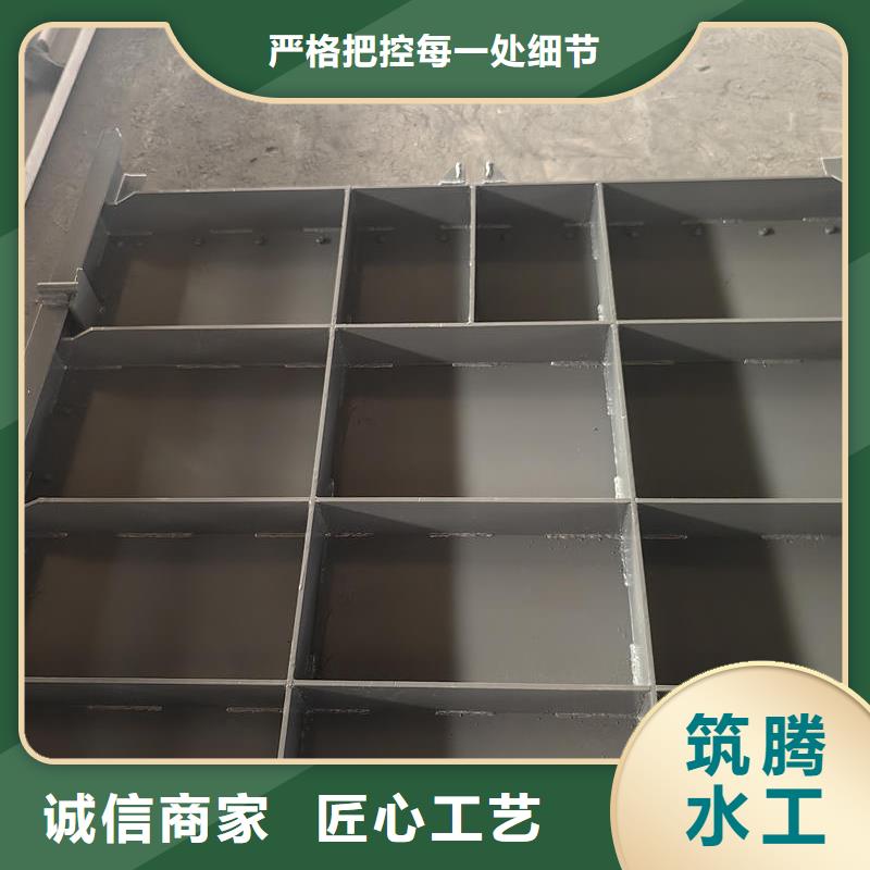 鋼閘門_露頂鋼制閘門多年實力廠家