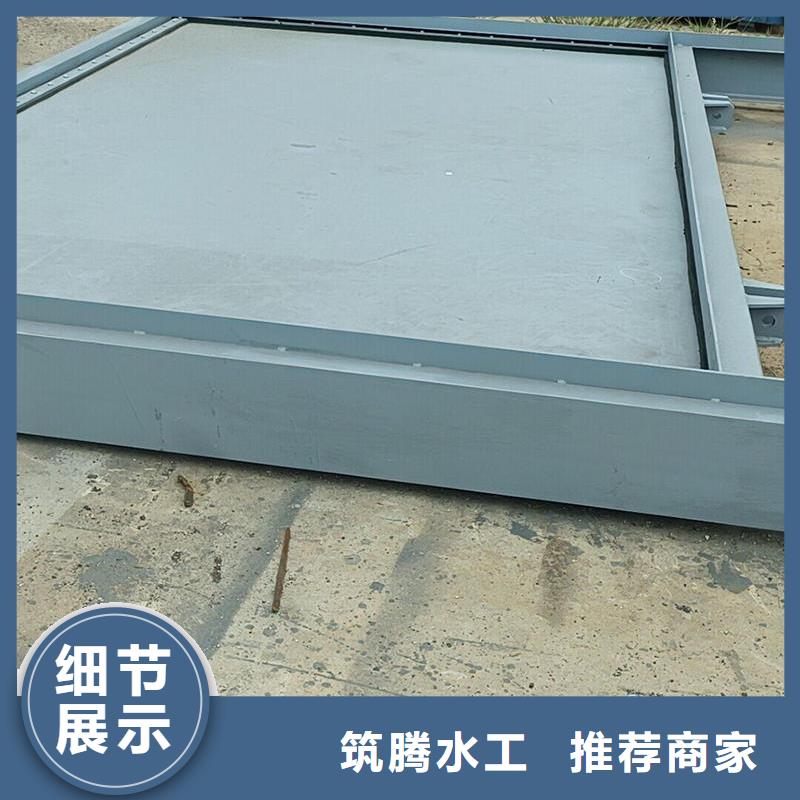 鋼閘門-平面滑動(dòng)鋼閘門我們更專業(yè)