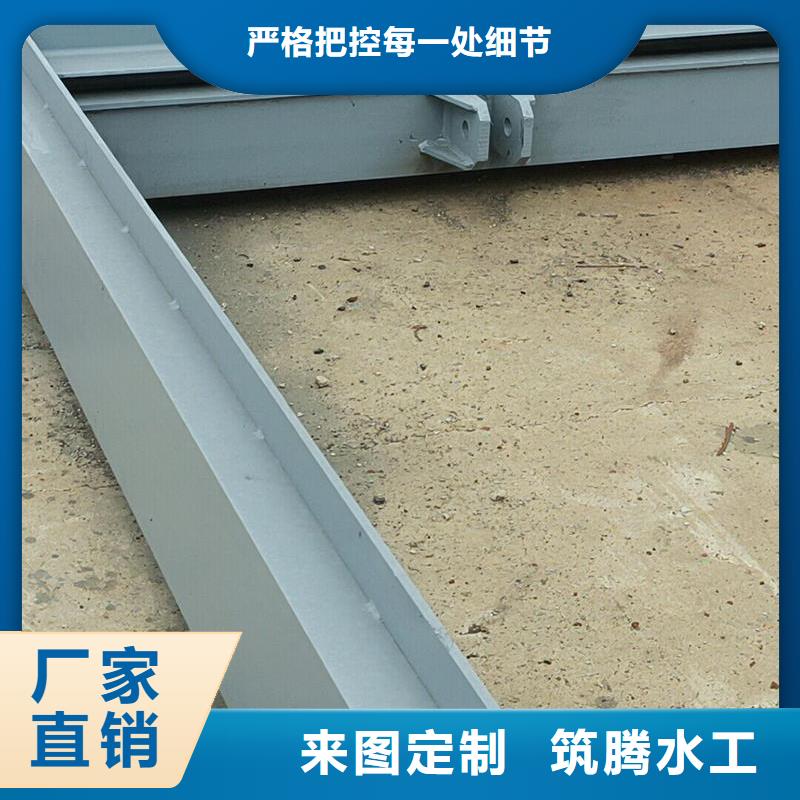 鋼閘門_露頂鋼制閘門多年實力廠家