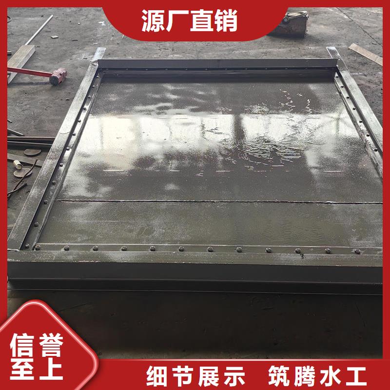 鋼閘門_露頂鋼制閘門多年實力廠家