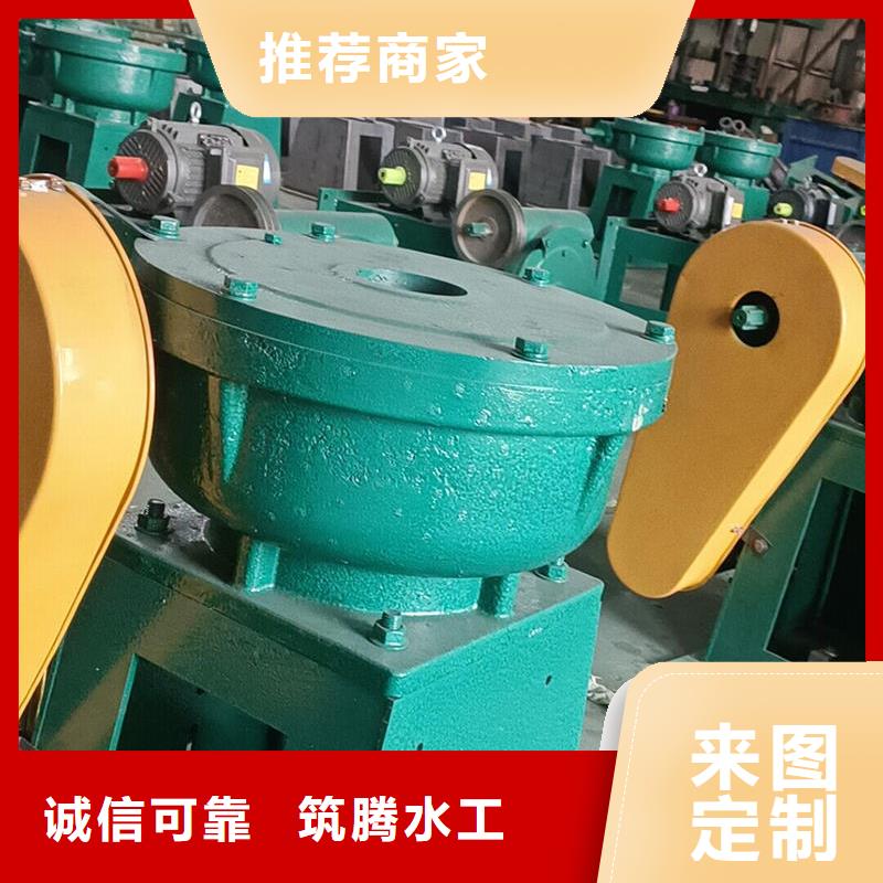 螺桿啟閉機(jī)_雙吊點(diǎn)啟閉機(jī)應(yīng)用范圍廣泛