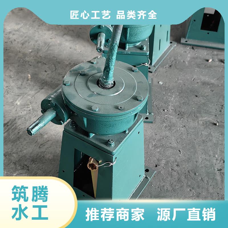 螺桿啟閉機(jī)_雙吊點(diǎn)啟閉機(jī)應(yīng)用范圍廣泛