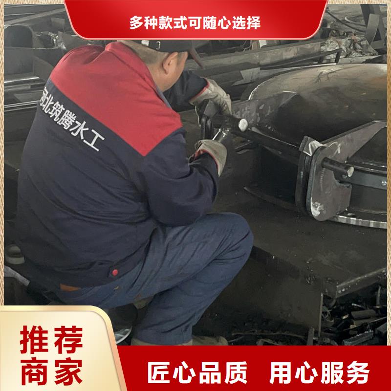 拍門側(cè)開(kāi)式拍門工廠直供