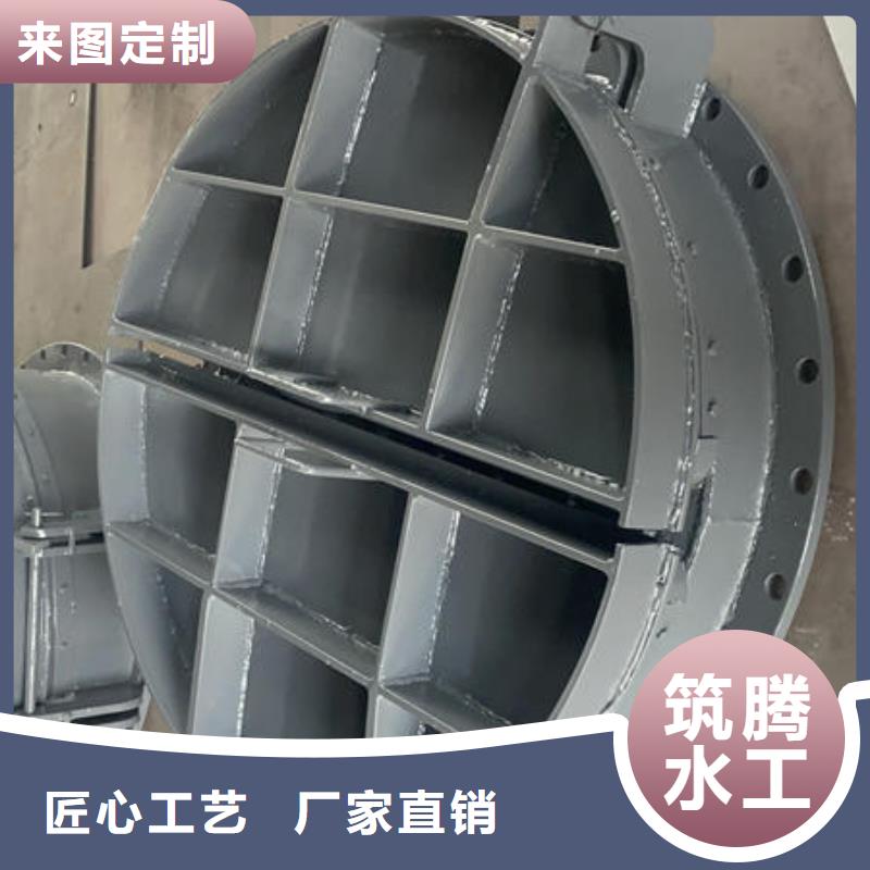 拍門側(cè)開式拍門工廠直供