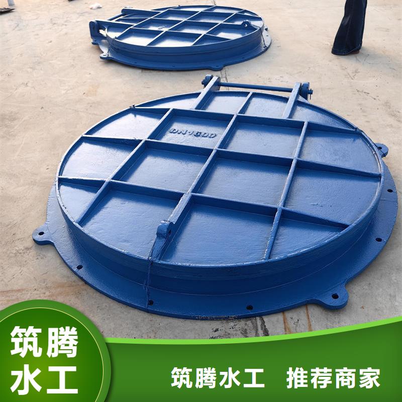 拍門雙開式拍門來圖定制