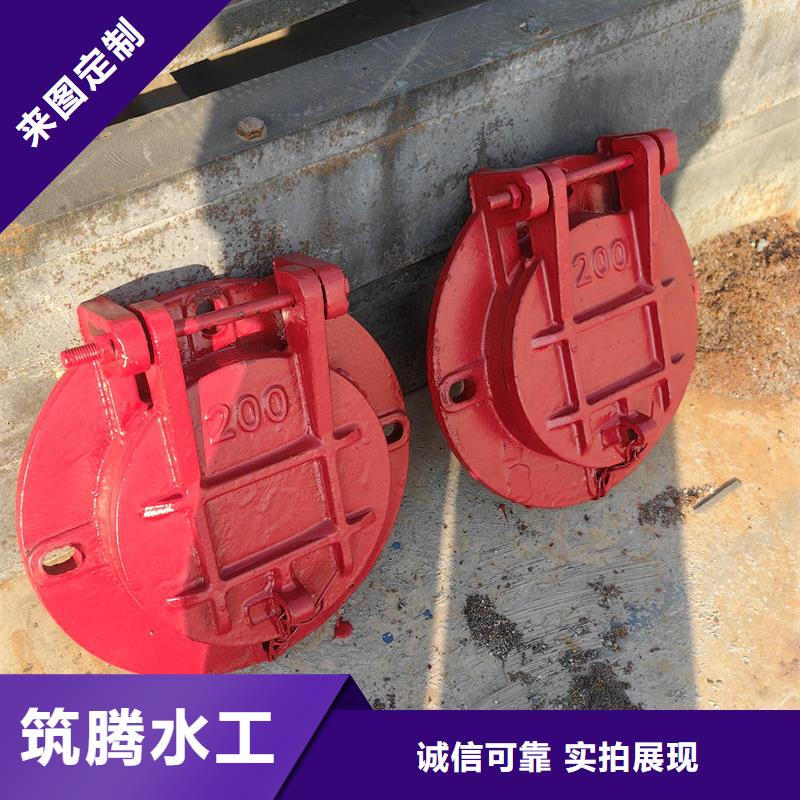 拍門節(jié)能型側(cè)翻式拍門快速生產(chǎn)