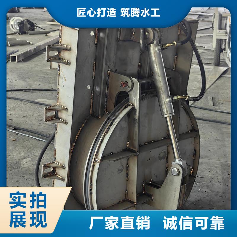 拍門節(jié)能型側(cè)翻式拍門快速生產(chǎn)