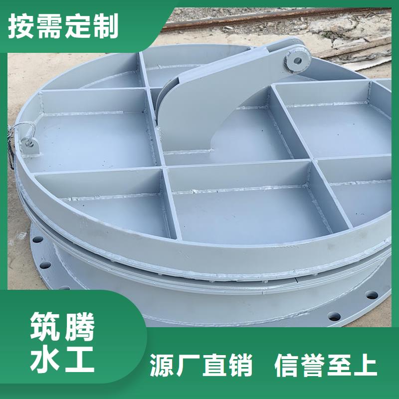 拍門(mén)-雙開(kāi)式拍門(mén)價(jià)格實(shí)惠