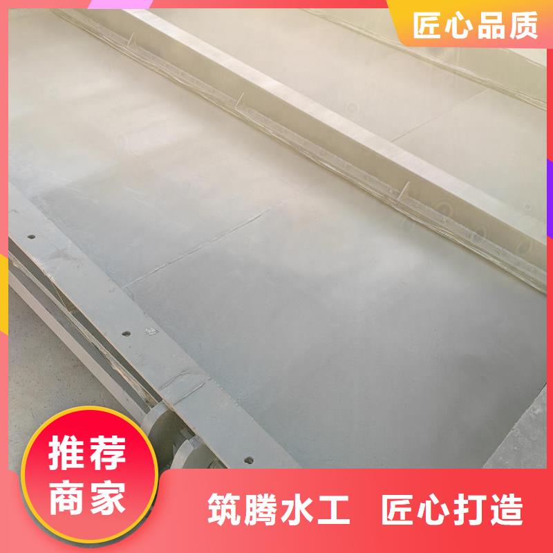 拍門鑄鐵拍門實(shí)力廠家