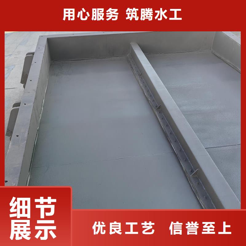 拍門側(cè)開(kāi)式拍門工廠直供