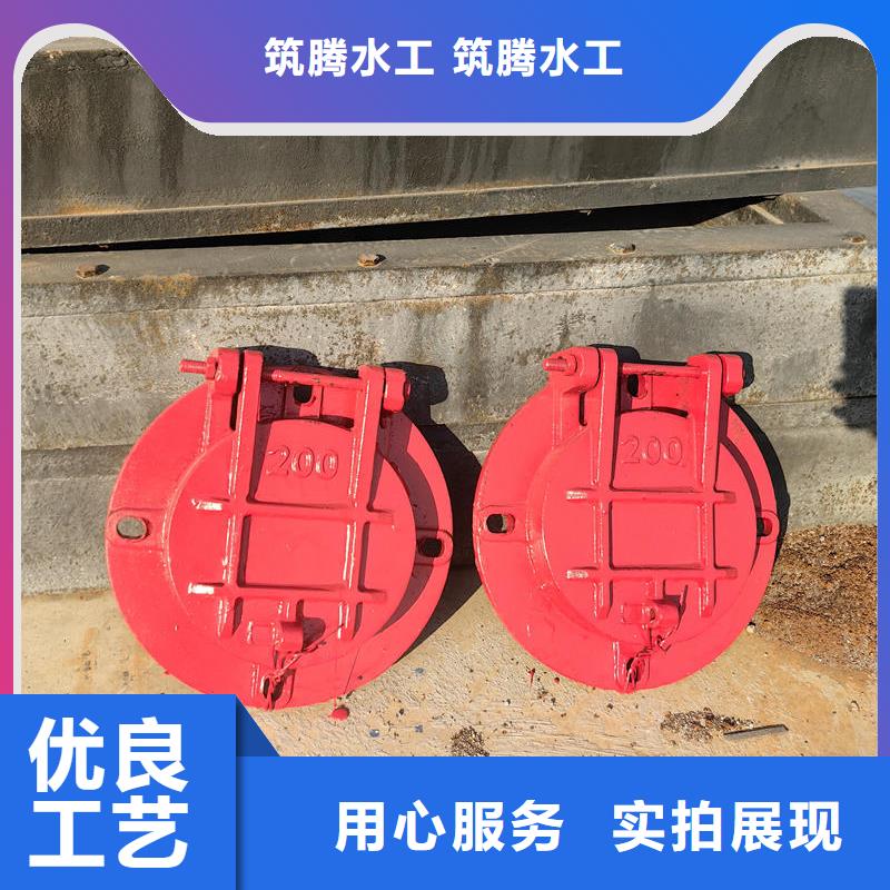 拍門(mén)防倒灌鑄鐵拍門(mén)懂您所需