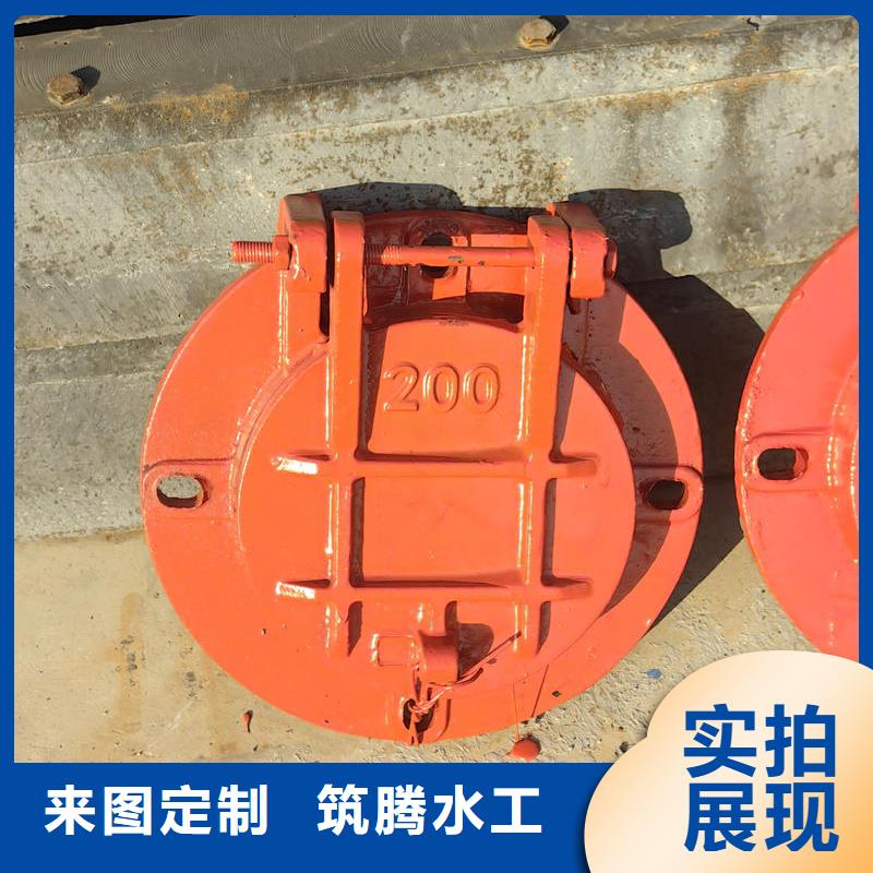 拍門(mén)HDPE高分子拍門(mén)現(xiàn)貨批發(fā)