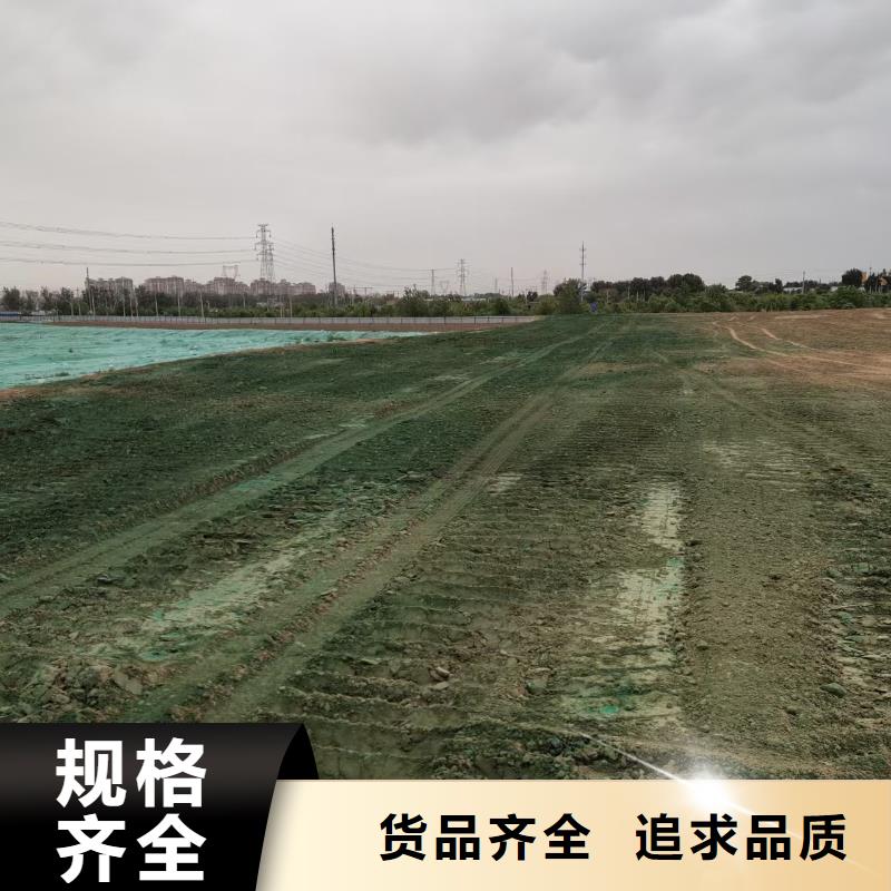 粉末結(jié)殼抑塵劑固沙環(huán)保抑塵劑專業(yè)生產(chǎn)廠家