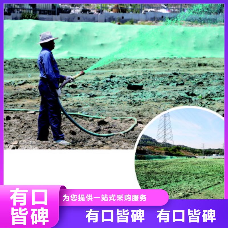 臭氧治理溶液道路泡沫降塵劑