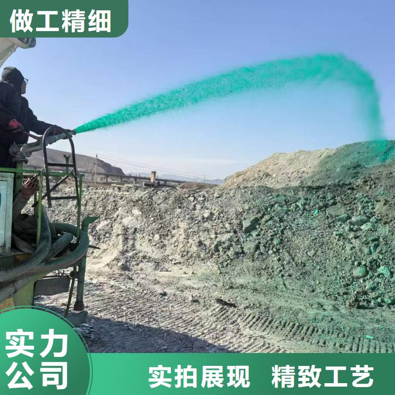 結(jié)殼抑塵劑固沙環(huán)保抑塵劑哪的質(zhì)量好